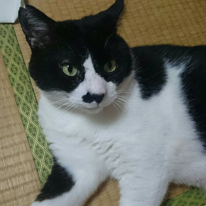 A489919c de02 4487 af83 b47813b1107d