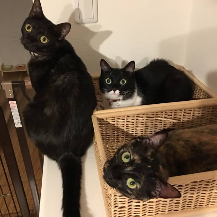 A489a0f5 ee2e 4a9e 9827 b03faefdf068