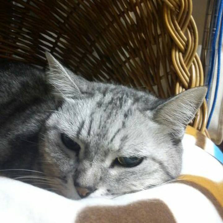 A48b3ef5 6ac4 49e4 8256 ddf8e0a77ae6