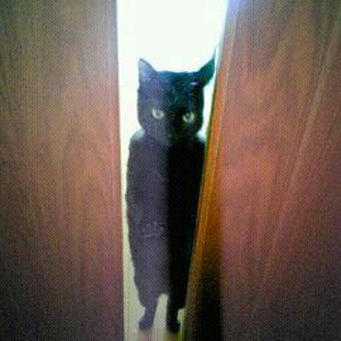 A48b53c7 8647 4bbe 877e 18f8ded45255