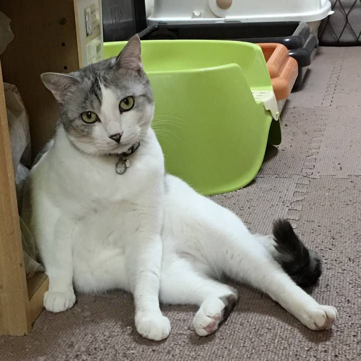 A48b6e32 da48 4e19 be37 62d277393508