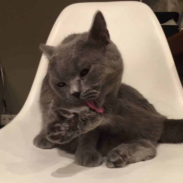 A48c0c08 59aa 4d30 a09f 0c2a54f9361e