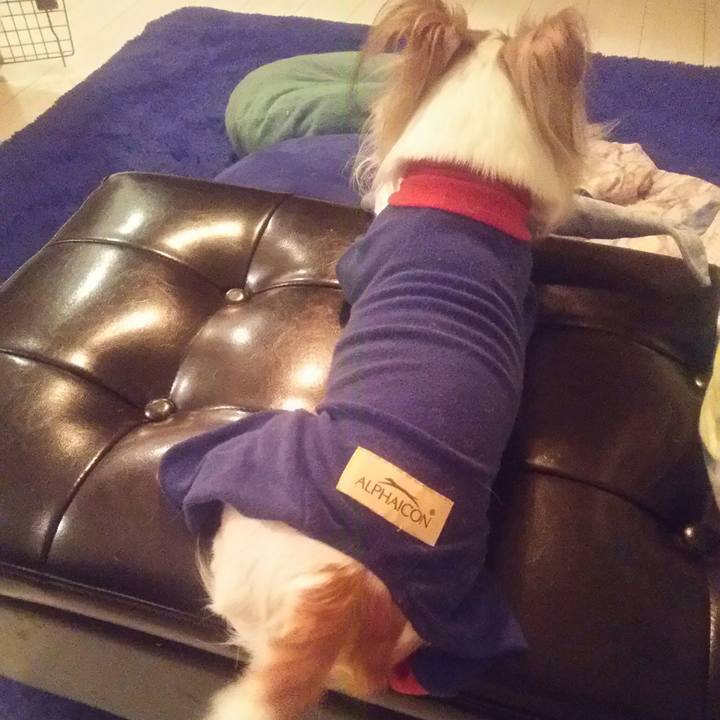 A48c1c7d 9b1e 4e73 9927 5febdc7827ae