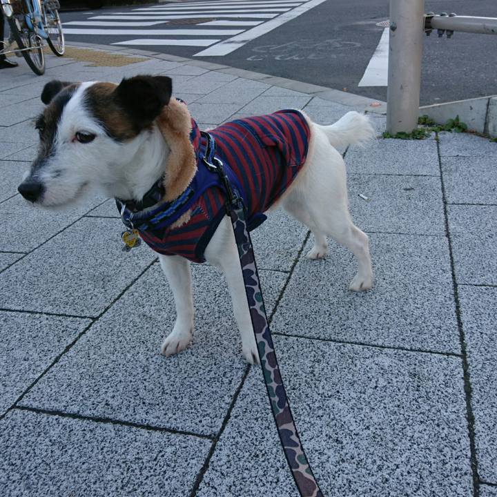 A48ce29f 24c1 40e1 8bf5 ac3daef3fe8b