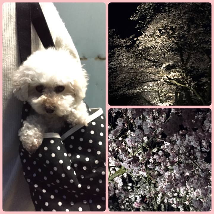 A48d11f2 2319 42e6 9d1c 46f79c322fe1