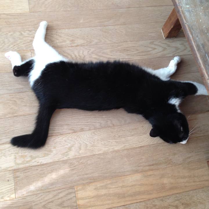 A48df688 f7f8 4e29 bd7d 09140a163fe0