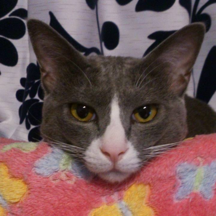 A48e8f29 f402 43bb 989e 88e968b74ebb