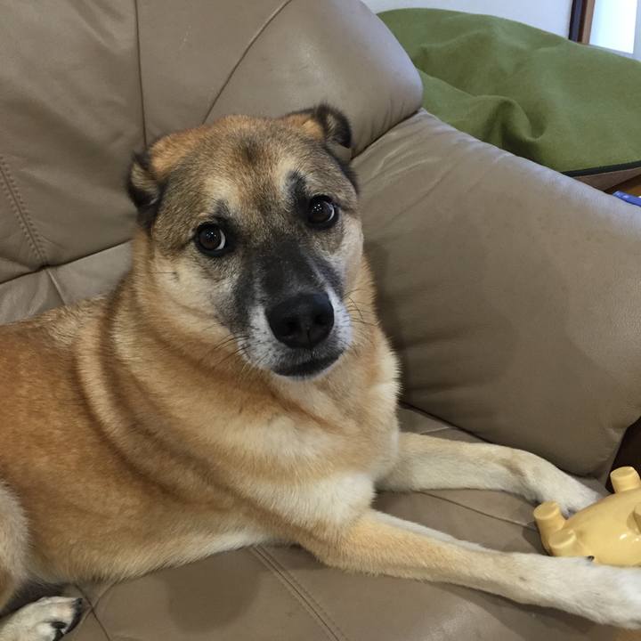 A48ea17a 06be 49a9 aa0e ce95ace284e5