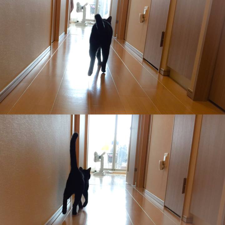 A48fb58f b0ef 48db 90f1 829c4b54ca51