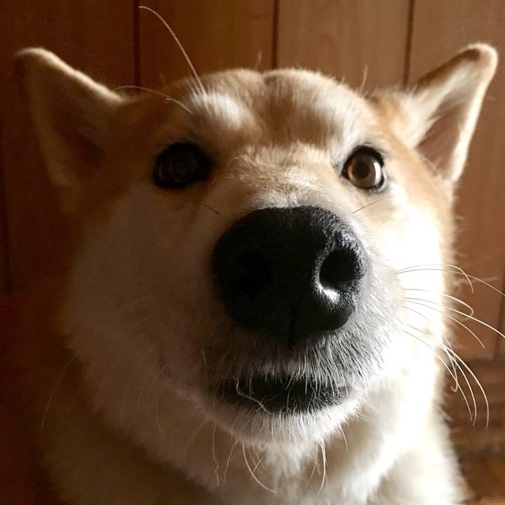 A4900f2e dfcc 4c07 b764 cf8220e1d622