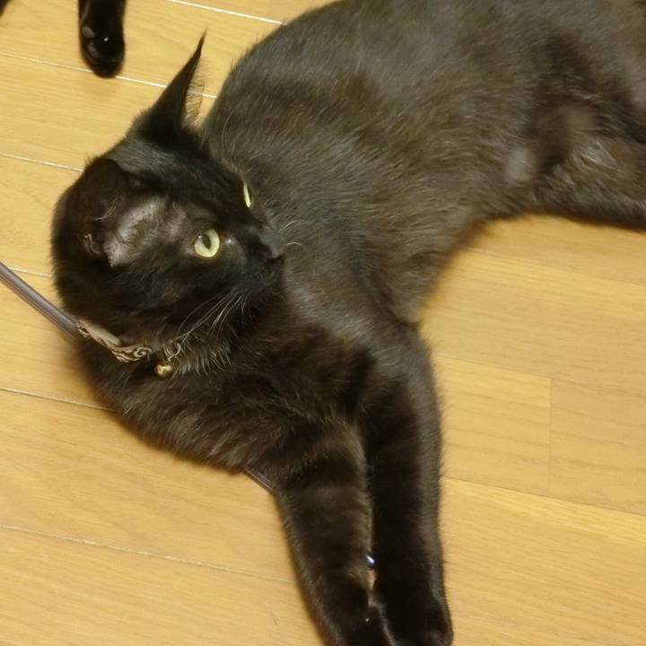 A490cfb7 d736 4faa a936 aecaabffb0d9