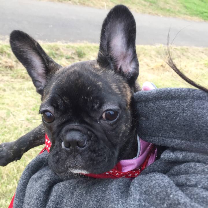 A4911c6a 40e2 499a 88d7 1d623b7ed167