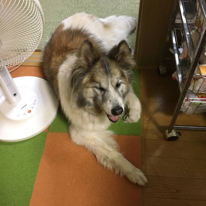 A492bec7 7616 4485 a84a f9153496c039