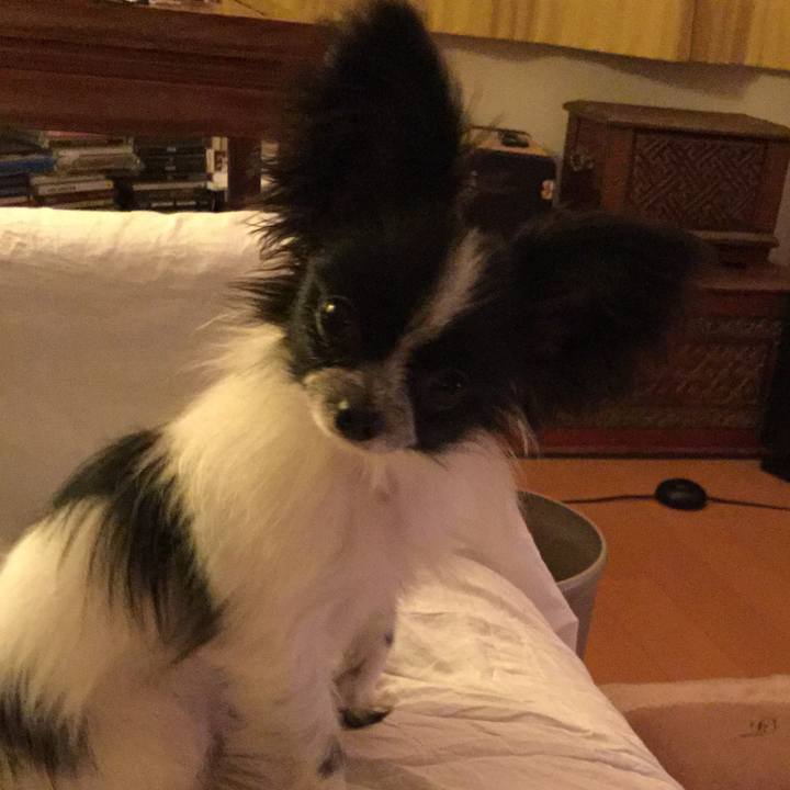 A4935db0 a07d 44c8 9436 3208fbf75e58