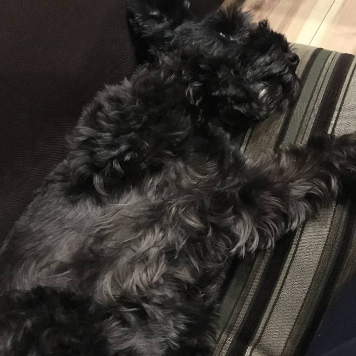 A493f91b 651e 49d9 8b55 c3afdeebe778