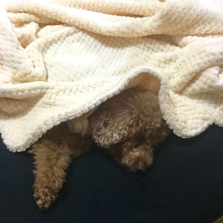 A4941dd5 ad37 4999 a599 fa1a279bc97e