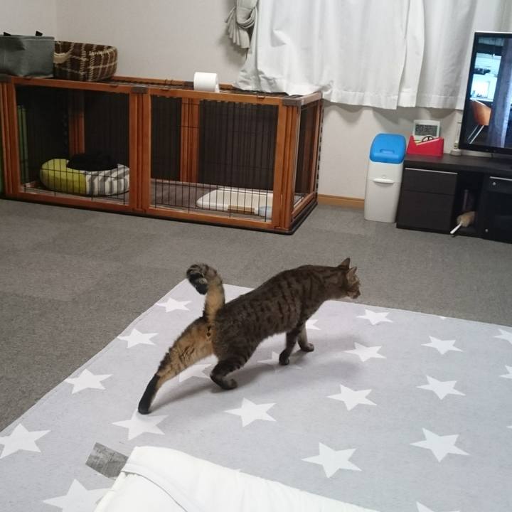 A4945e09 4008 48ed ae6d f8baf7b3dc43