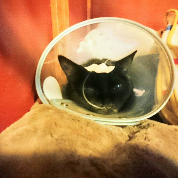 A49470dd 9fdc 40ae b86d c149a1d2cee9