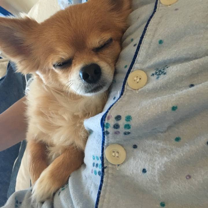 A4949925 020b 43ed 9bca 5422ac61bdd2