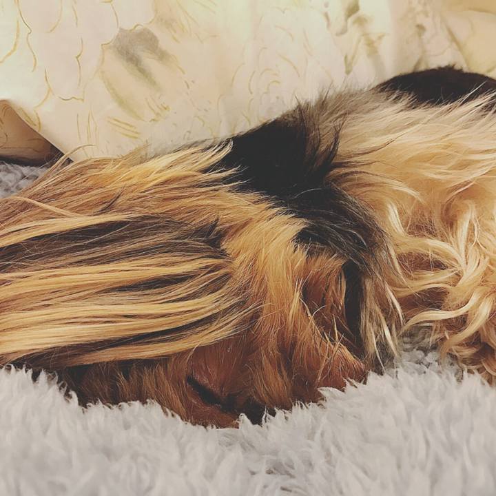 A49542b7 43ee 4b2a b354 313301864c54