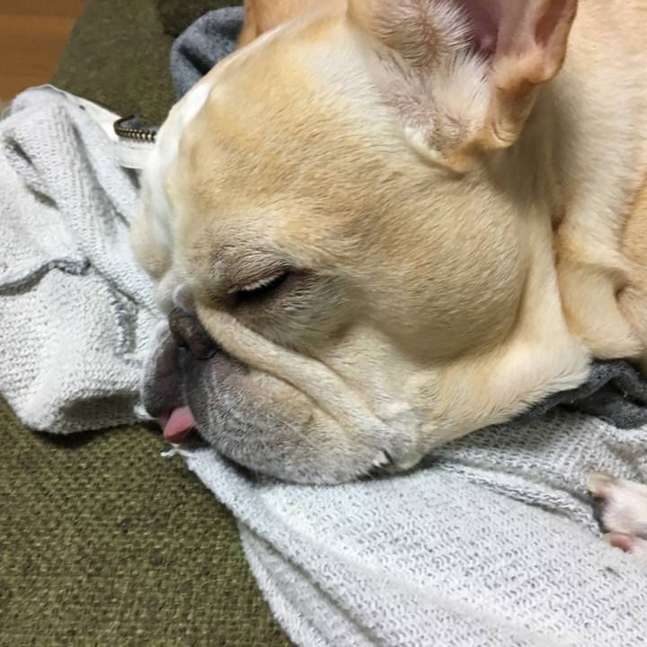 A495b6ea f9df 4f92 893c b7c645709b80