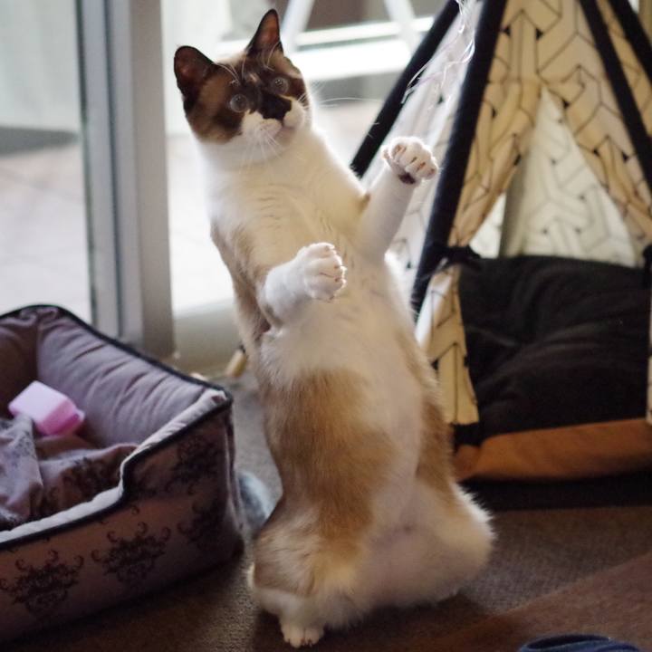 A4967492 a3ae 4201 b78f 39b6d5d5cb48