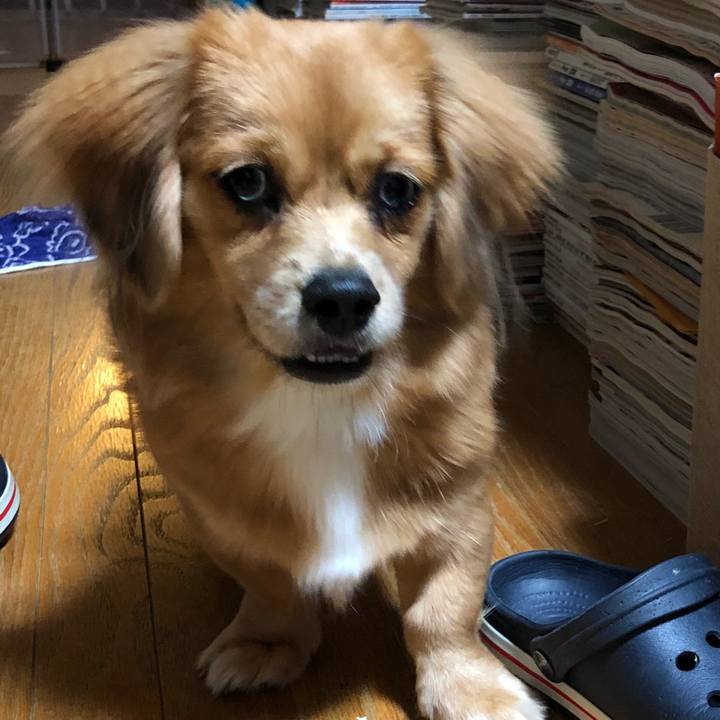 A496c7fb e722 4be7 8cb7 bc3c8cb58674