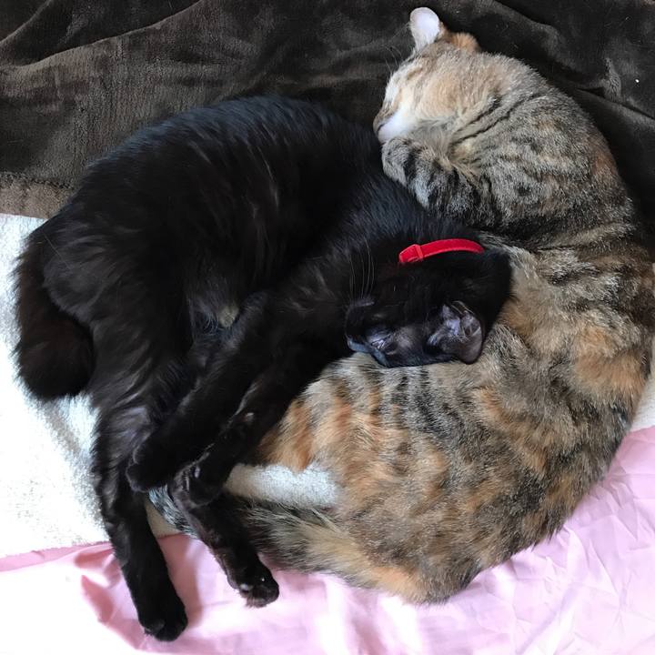 A496df9c 848b 47fe b118 4c3ba89a3bab