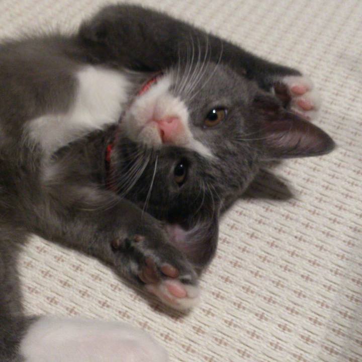 A496ff57 f779 46de 8211 95f56281c5bd