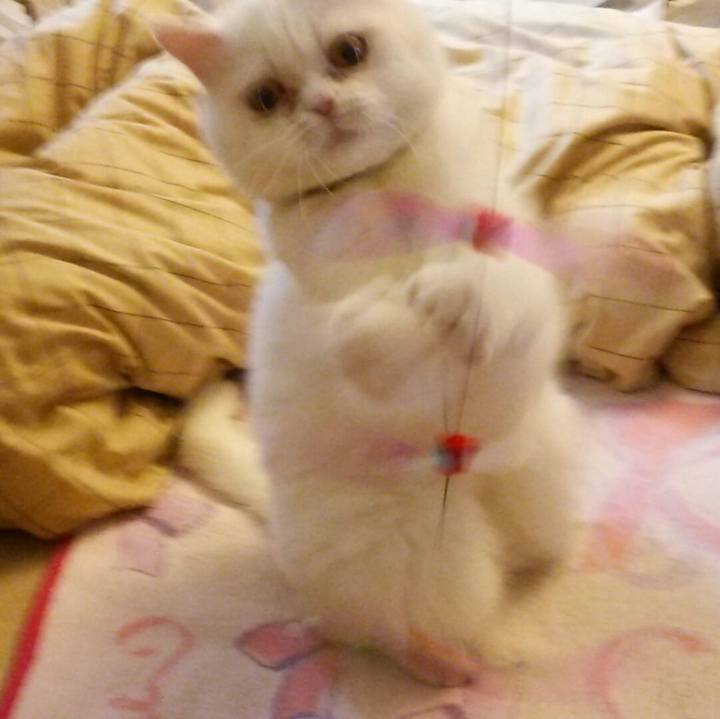 A49735df 8bae 44c2 96e0 8a8a3403a122