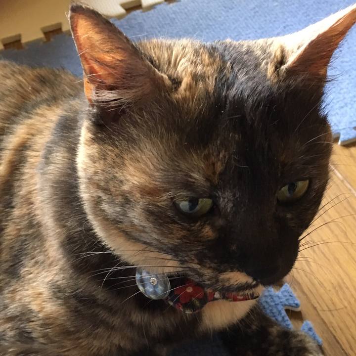 A4973d46 0907 4f5b 8e3f 323d83875950