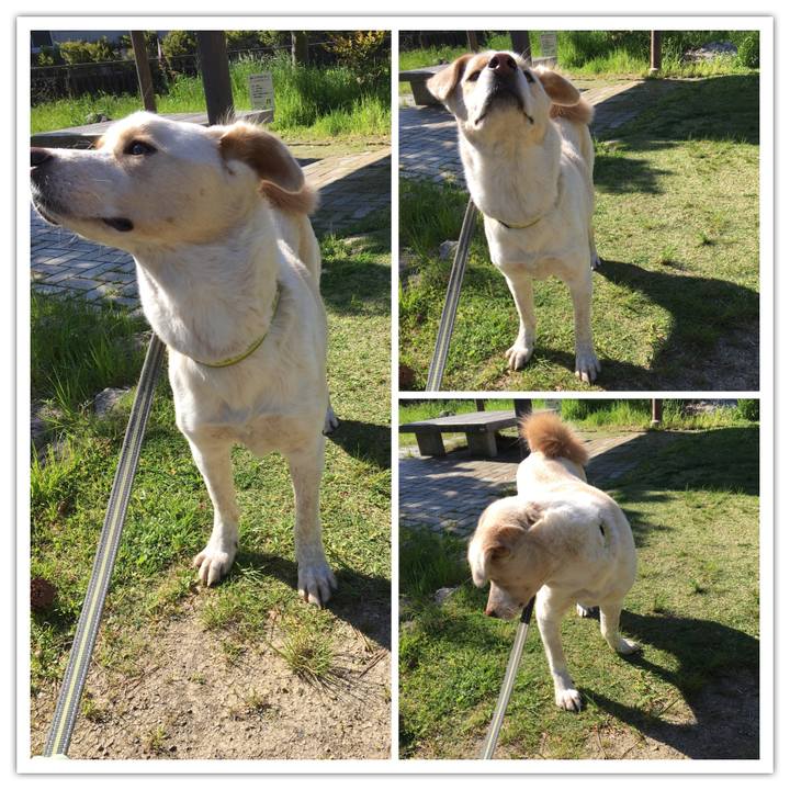 A4980892 a198 4e1d 805e e2f2bbc654c1