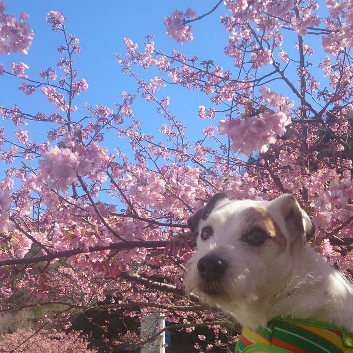 A4988b72 fce0 454a b8c6 ae2192177a01