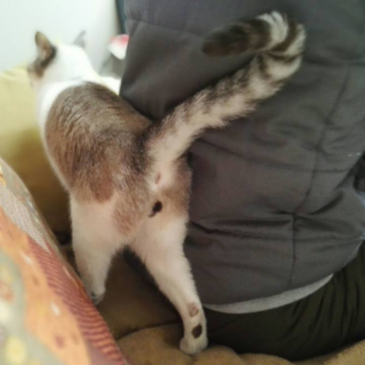 A498d501 af20 48e2 8cea 05c05593c087