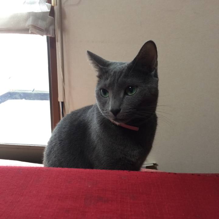 A499170b 6c73 40b6 967a f8352b61609b