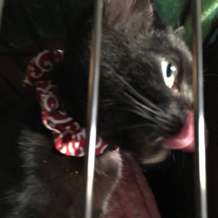 A4991b68 cf85 4679 ac0a 9d947b010240