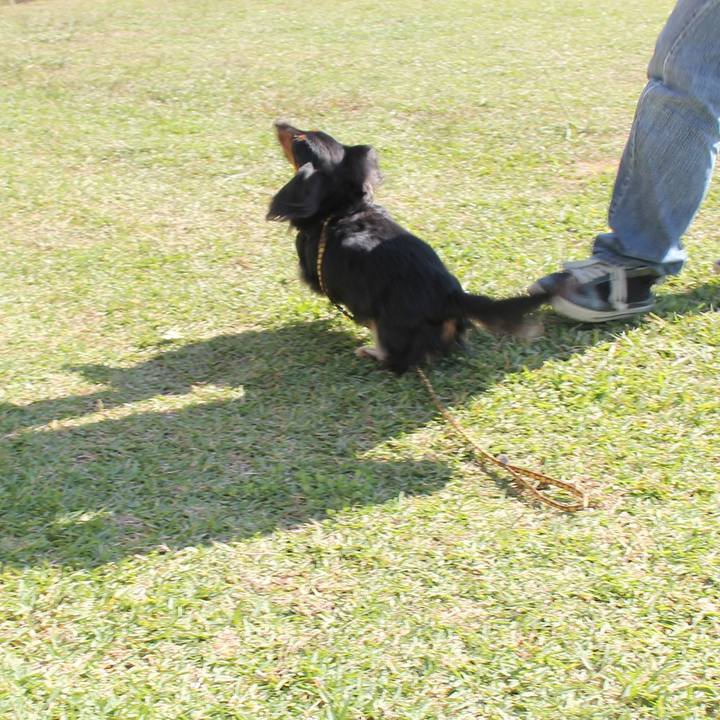 A4997568 9a00 4095 8bb3 d348ada54052