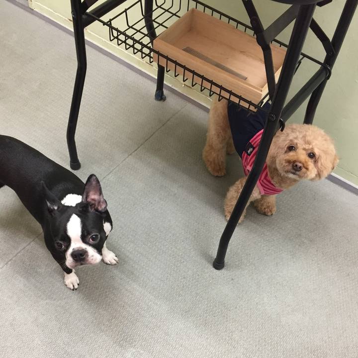 A49a150e 91bb 44d6 9146 556443f2f2bc