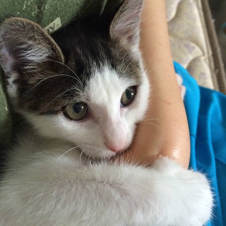 A49a2108 cc32 407d a5da 89d7ae75bb39