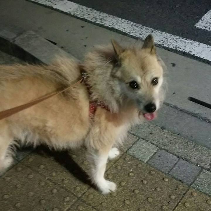 A49a3e79 4333 4676 8b48 da7d4201bf92