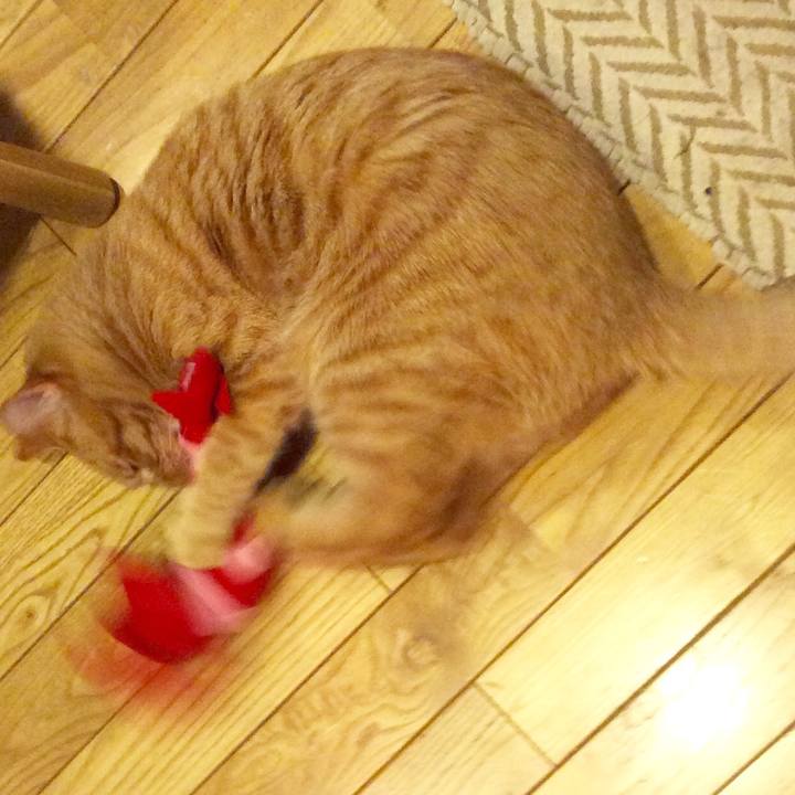 A49a5009 47ab 45f7 b727 14622fafb09a