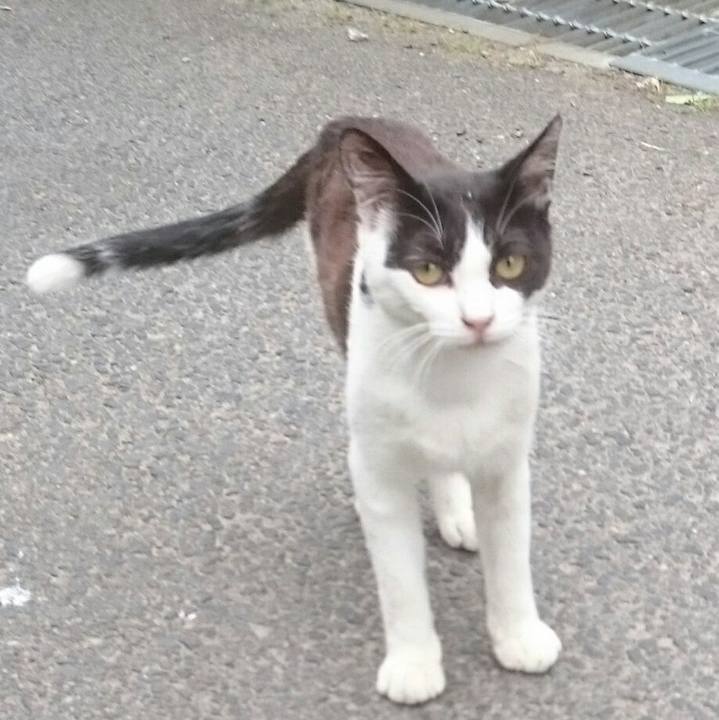 A49a6250 51c2 4636 bcbb e4952d05a66f