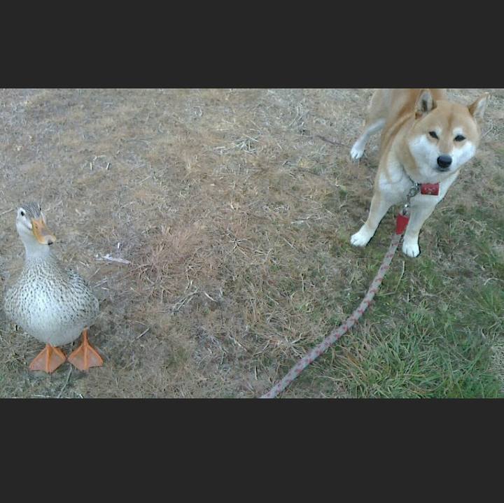 A49a6aef 87c9 4ffb 9c47 ba079223f82a