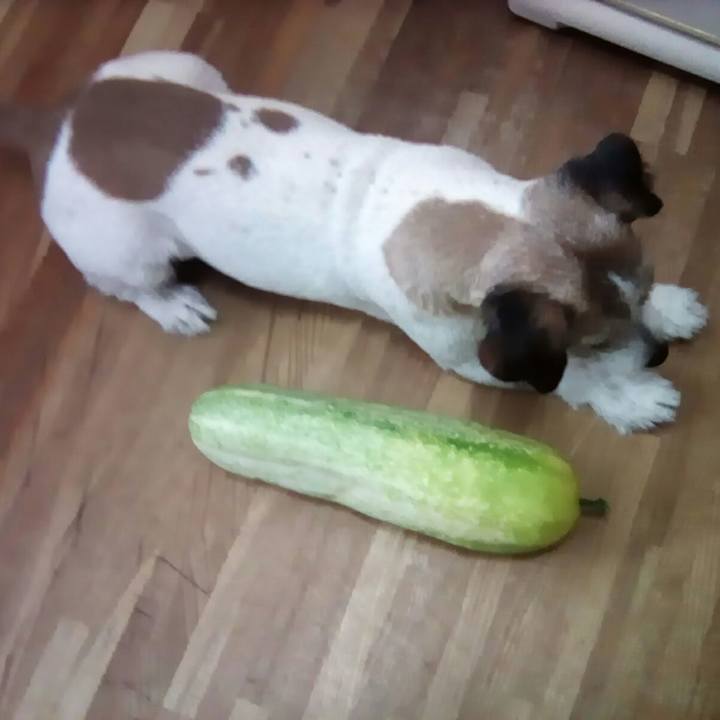 A49a74f0 3694 481f b0f3 84aef1399f76