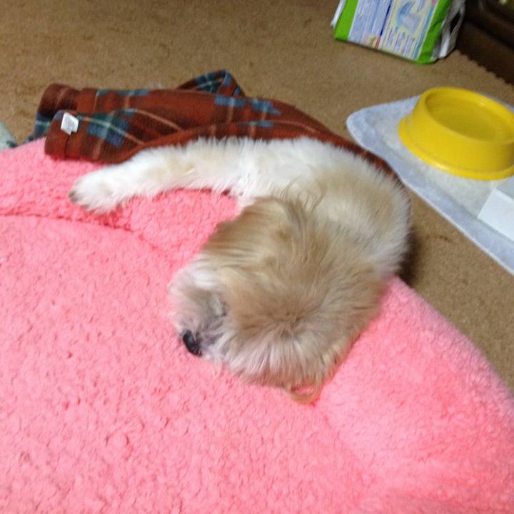 A49ae720 3a5d 4976 8f7e 875c8509f001