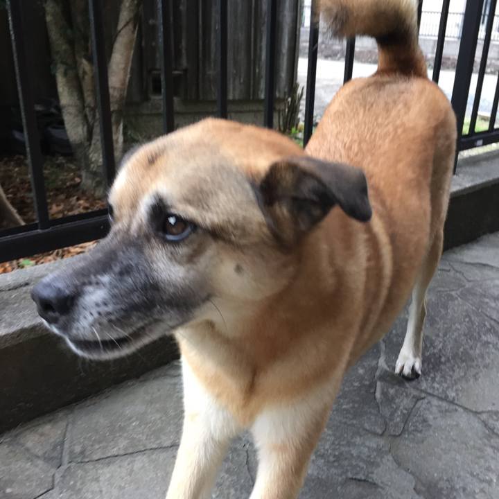 A49aea3a 827d 47a8 971d 07e864bd4865