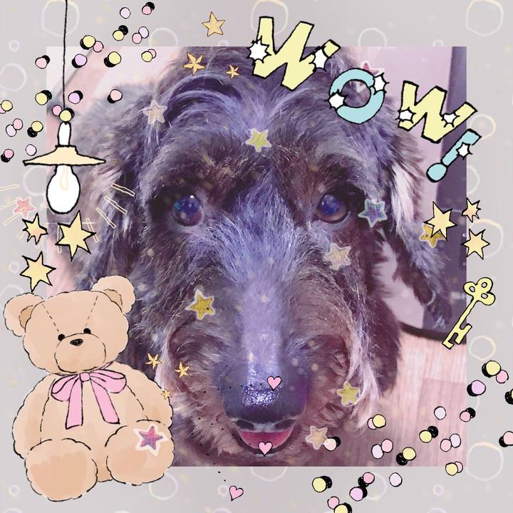 A49b0635 8e60 4103 930a f9c01870e3ba