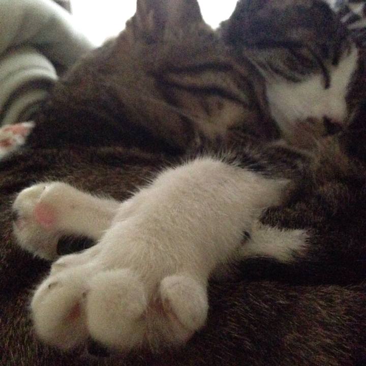 A49b8026 0535 4966 821d d85a4df3ddee