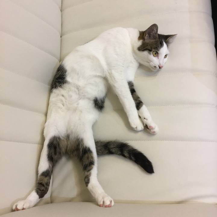 A49bf432 bf52 4b35 9b48 65e1378f4d76