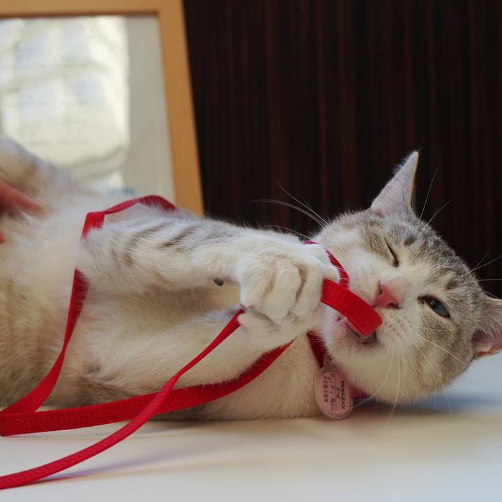 A49c6028 2d2c 45a8 bac2 ba9689bec3ff